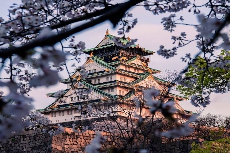 Affordable Tokyo Disneyland tours by NT Holidays Madurai